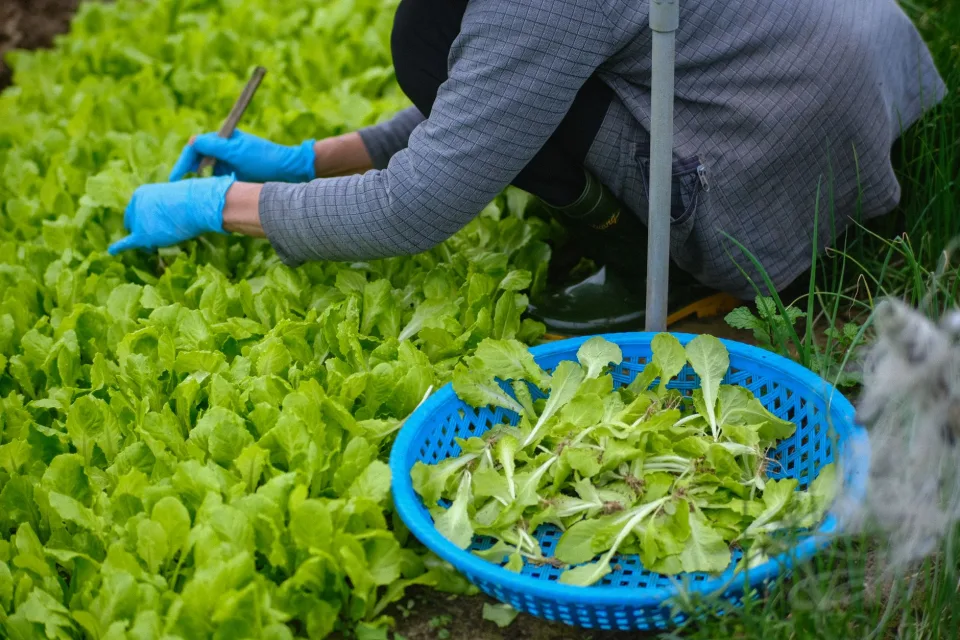 Chất lượng là thứ chúng tôi không tiết kiệm